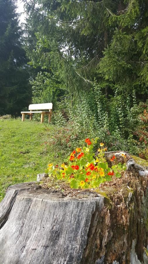 Appartement Leh Annaberg-Lungötz Extérieur photo